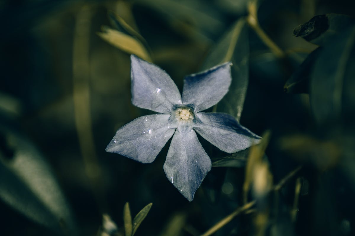 Autism Financial Assistance Programs in the USA – 2025 Guide