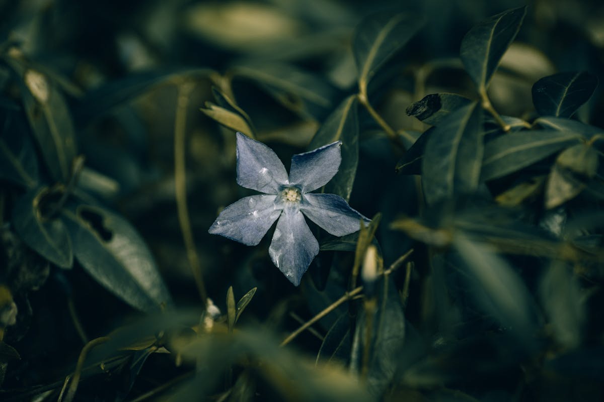 Autism Wings Raffle Contest 2025 – Win Big, Support a Noble Cause!